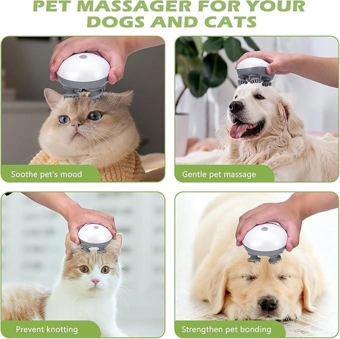 Electric Cat Massager – USB Rechargeable Groomer