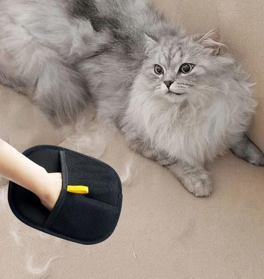 Pet Hair Removal Gloves – Grooming Mitt for Dogs  Cats